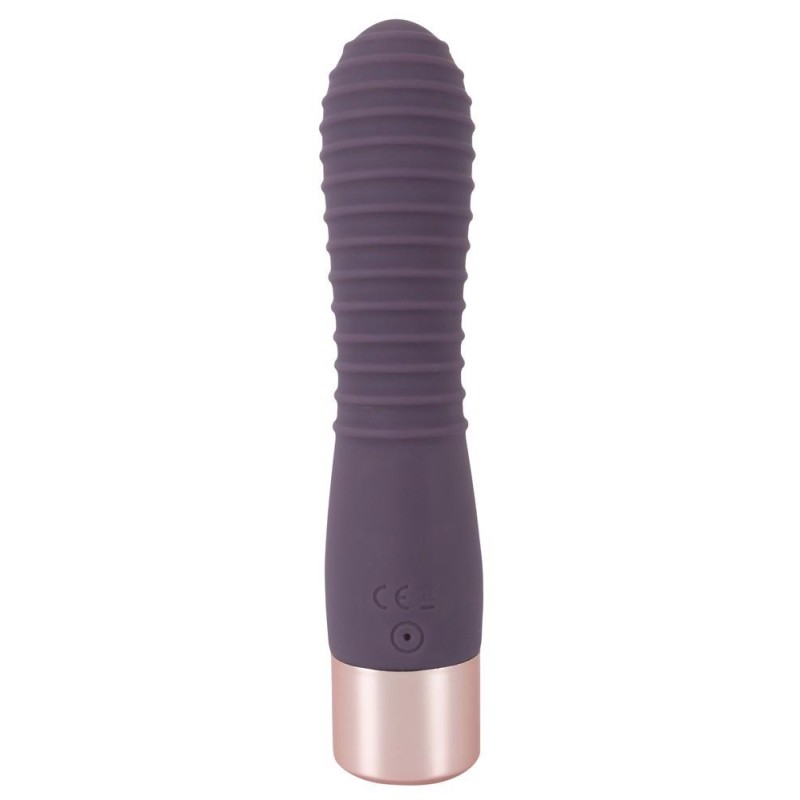 Elegant Vibrator Flexy Vibe